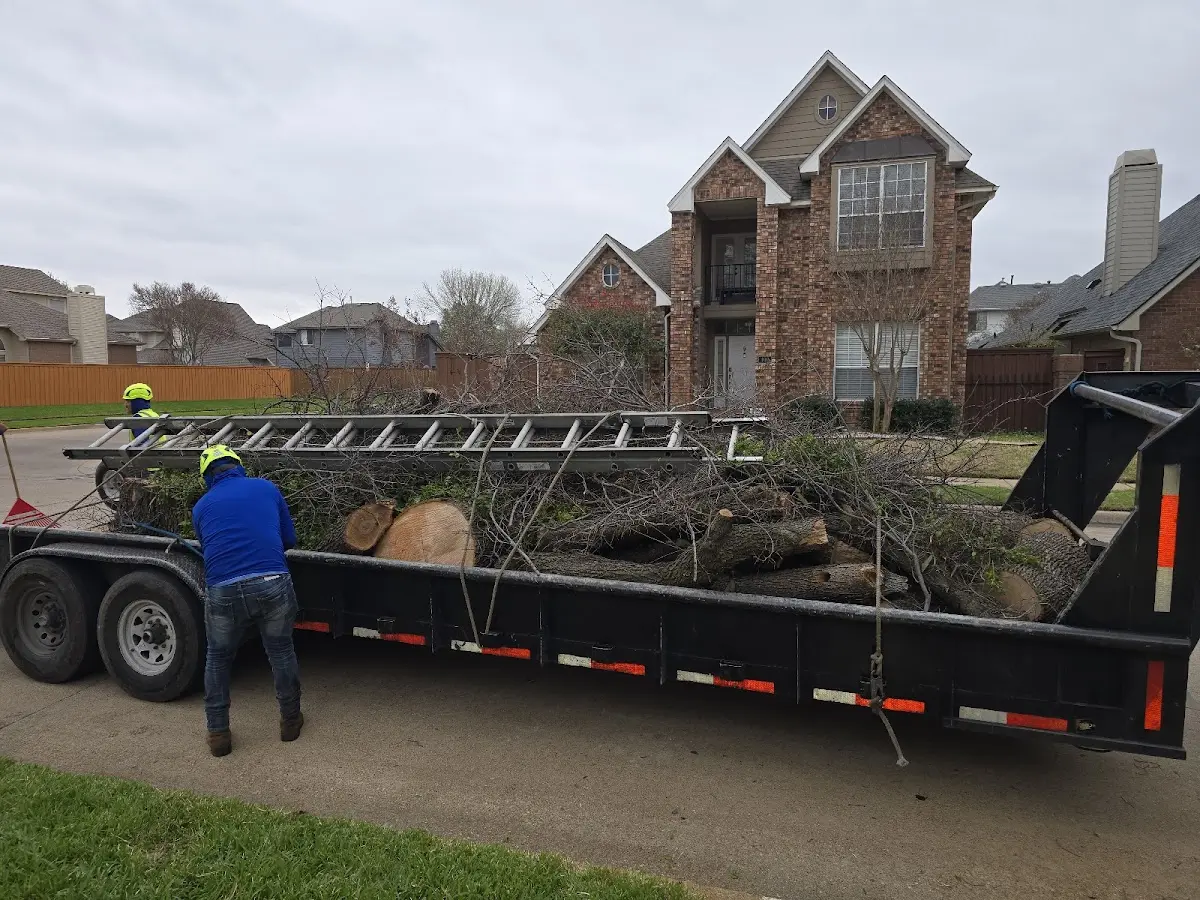 Expert Tree Fertilization with proper safety equipment in Stony Point